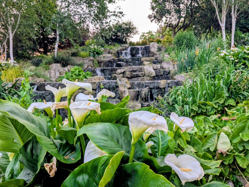 Regent’s Park London