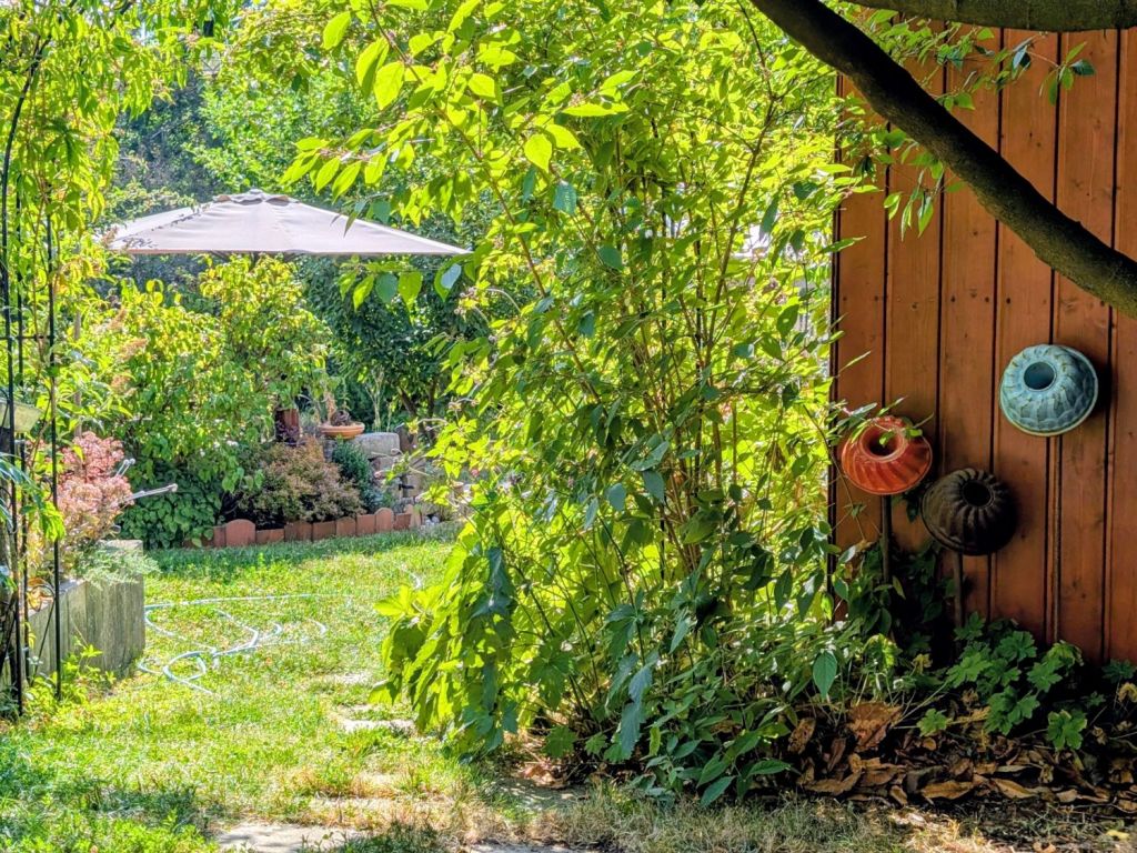 Und täglich grüßt der Gartenschlauch